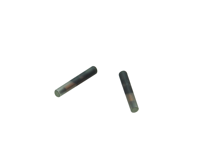 Animal Microchip