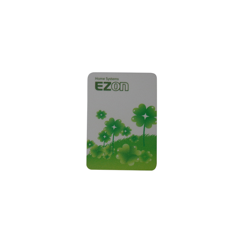 RFID Mini Card